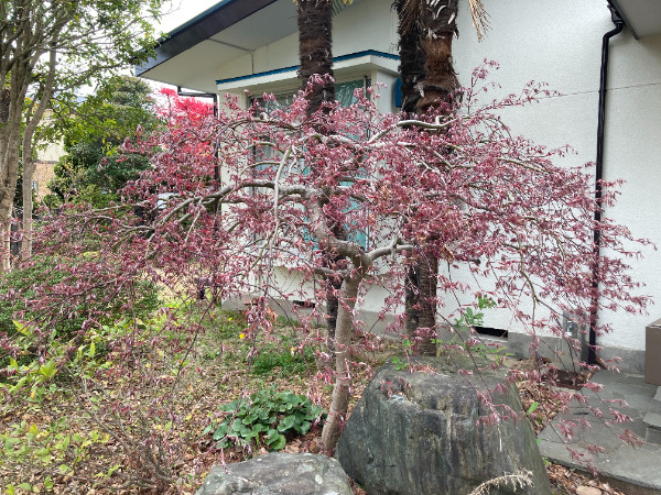 解体前の戸建て住宅